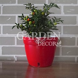 Горшок Асти 2,5л красный-белый