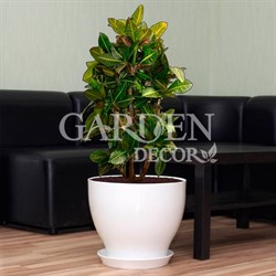 Горшок КСЕНИЯ 8 30л белый