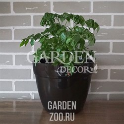 Горшок Асти 9л черное золото-черный