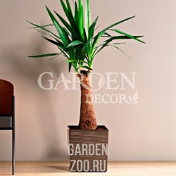 Кашпо Джука ЭКО 25*25*26см натур.дерево с вкладышем