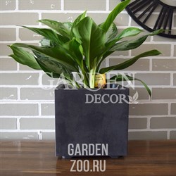 Горшок Кубо Милленниум квадрат. 25*25 25см 10л антрацит