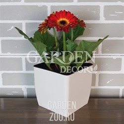 Горшок КВАДРО низкий 16*16*15,5 белая роза