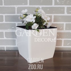 Горшок КВАДРО низкий 22*22*21 белая роза
