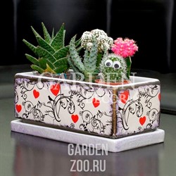 Горшок Кактусник светл 24*12/9см