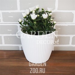 Горшок ЭВИ 3л с дренажной системой белый