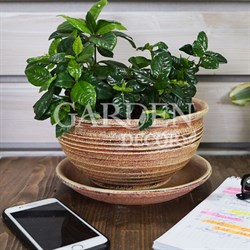 Горшок ФИАЛОЧНИЦА 1,5л Кантри беж 19см
