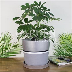 Горшок Гренландия 3,8л серебро конус №4