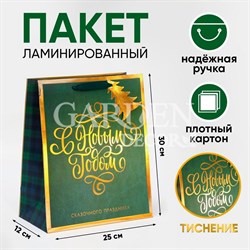 Пакет ламинированный Сказочного праздника 25,4х30,5х12,7см