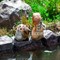 Фигуры для декора водоема
