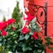 Кронштейн для подвесного кашпо настенный 32см металлический 52-025 - фото 59954