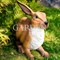 Фигура садовая Заяц ушастый полистоун коричневый F07429-Br - фото 64095