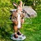 Фигура Заяц коричневый с корзиной на спине для растений F01042-Br - фото 64109
