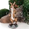 Фигура Заяц коричневый с корзиной на спине для растений F01042-Br - фото 64111