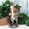 Фигура Заяц с корзиной на спине для растений полистоун F01042-Gray - фото 64116