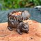 Кормушка для птиц FB265 - фото 64978