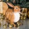 Фигура садовая Заяц ушастый полистоун коричневый F07429-Br - фото 69708