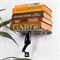 Полка скрытая книжная на стену Майкл Джексон металл 705-047B - фото 75097
