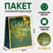 Пакет ламинированный Сказочного праздника 25,4х30,5х12,7см - фото 77719