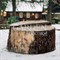 Крышка декоративная для люка Пень высокий диаметр 80см U08317 - фото 85836